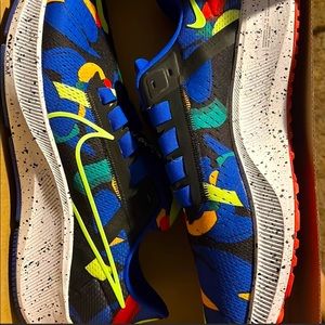 Nike Air Zoom Pegasus 38 - These shoes have never been worn in great condition!